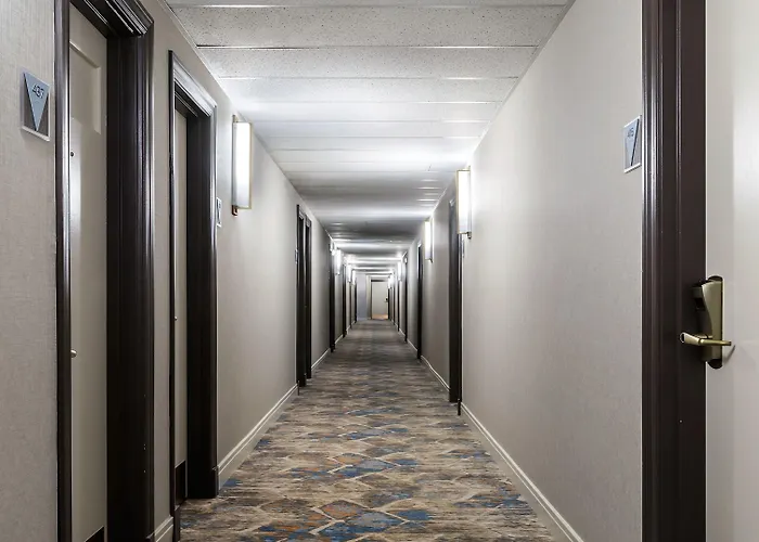 Versey Lincoln Park Hotel Chicago
